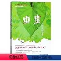 [正版]虫虫/少年与自然1 韩开春著 3-6-9-12岁小学生 阅读 儿童文学小学生课外书籍 一二三四五六年级故事书课