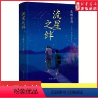[正版]流星之绊东野圭吾著侦探推理悬疑解忧杂货店日本年度小说嫌疑人X的献身白夜行东野圭吾情感悬疑之作9787544