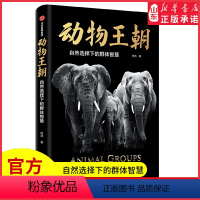 [正版]动物王朝2021文津图书奖自然选择下的群体智慧冉浩著动物群体行为大自然智慧讲述动物群体行为的纸上纪录片书店书籍