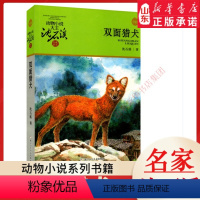 双面猎犬 [正版]书店 双面猎犬 动物小说大王沈石溪·品藏书系 中/小学生阅读少儿读物 儿童文学