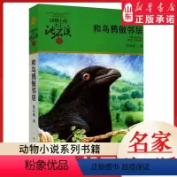 和乌鸦做邻居 [正版]书店 和乌鸦做邻居 升级版动物小说大王沈石溪·品藏书系 中/小学生阅读少儿读物 儿童文学