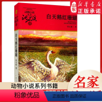 白天鹅红珊瑚 [正版]书店 白天鹅红珊瑚 升级版动物小说大王沈石溪·品藏书系 中/小学生阅读少儿读物 儿童文学