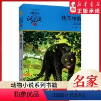 牧羊神豹 [正版]书店 牧羊神豹 升级版动物小说大王沈石溪·品藏书系 中/小学生阅读少儿读物 儿童文学