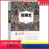 [正版]斑斓志张炜深情书写苏东坡大江东去波澜壮阔的一生李白与杜甫陶渊明遗产楚辞笔记读诗经茅盾文学奖人民文学出版社书店书