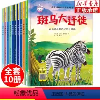 [双语科普]小爱因斯坦大画书 全10册 [正版]精装硬壳幼儿绘本阅读幼儿园老师绘本3-5-6岁 情绪管理与性格培养绘本宝