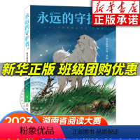 永远的守护者 [正版]永远的守护者 黑鹤 2023阅美湖湘阅读打卡笔墨书香四年级下册阅读 格日勒其木格 小学生课外阅读书