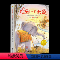 [2022朝阳读书]捡到一只大象 [正版]2022朝阳读书一年级阅读书目 捡到一只大象 小巴掌童话 笨狼的宠物儿歌300