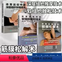 [正版]3册体育运动中的深层组织按摩技术+软组织放松技术+筋膜松解术 运动按摩 运动康复技术训练筋膜释放技术书籍 损伤