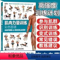 [正版]肌肉力量训练彩色图谱 体育保健学拉伸减脂增肌训练塑造书 运动健身房健身教练肌肉训练图谱图书籍 人民邮电出版社