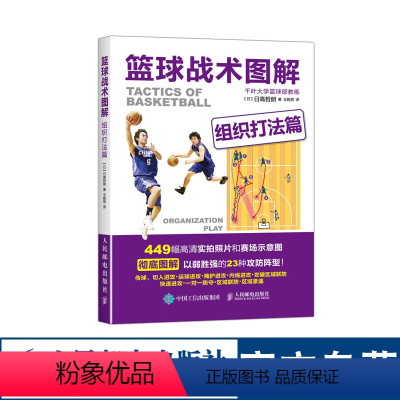 [正版]篮球战术图解 组织打法篇 NBA CBA篮球基础 赛场示意图图解 篮球基础与战术 看图学打篮球 指导篮球队