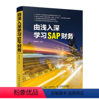 [正版]由浅入深学习SAP财务 SAP系统 财务分析 ERP系统 会计 资产 订单 获利分析 15年SAP项目实施和管