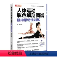 [正版]人体运动彩色解剖学图谱肌肉柔韧性训练精准拉伸体能速度训练完全图解书籍