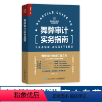 [正版]舞弊审计实务指南 财务会计财务报表经济学会计学做账企业管理税务报表审查书