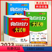 语文+数学+英语+物理 八年级下 [正版]2024新版亮点给力2023试卷七八九年级上册下册语文数学英语物理化学江苏版中