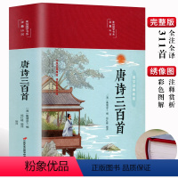 [正版]精装版唐诗三百首原著唐诗鉴赏辞典宋词元曲全集全解注音注释译本唐诗300首小学生初中高中生青少年中国古诗词大全诗