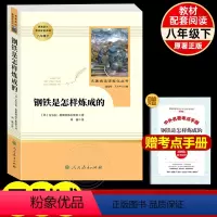 钢铁是怎样炼成的-人民教育出版社 [正版]人教版钢铁是怎样炼成的人民教育出版社初中原著完整版无删减必八年级下册名著初中生
