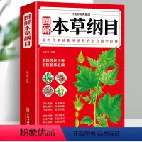 [正版]本草纲目 李时珍 全彩图解白话文典藏版 中医基础理论中医书籍大全经典药方医药大全养生中草药全图鉴倪海厦中医书籍