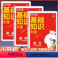 [语数英3本]基础知识大全 小学升初中 [正版]2023新版小学基础知识大全语文数学英语小升初知识点大集结归纳汇总强化专