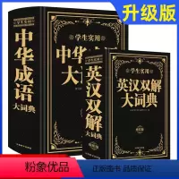 [正版]2023英汉双解大词典中小学生实用多功能英语词典成语大词典现代汉语中华成语词典初中高中复习英语成语字典通用辞典