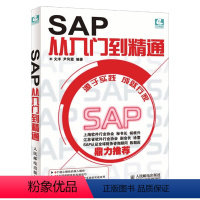 [正版]SAP从入门到精通 SAP系统项目实施与管理一本通ERP软件设计案例教程财务高效办公捷径 SAP软件初学书籍