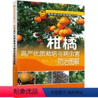 [正版] 果树栽培修剪图解丛书--柑橘高产优质栽培与病虫害防治图解 柑橘栽培技术 柑橘病虫害防治大全书 化学工业
