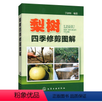 [正版] 梨树四季修剪图解 梨树高产管理专业 梨树种植技术大全 梨树高效栽培技术 水果种植技术书 化学工业