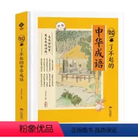 狐说新语-了不起的中华成语 [正版]狐说新语 了不起的中华成语 成语故事大全小学生版二三四年级五六课外书必阅读儿童中国成