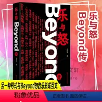 [正版]乐与怒 Beyond传 左安军 著 再现主唱黄家驹与Beyond的光辉岁月 书店图书籍 南京大学出版社