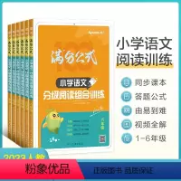 [语文]分级阅读组合训练 小学一年级 [正版]2023星火小学语文阅读理解专项训练书满分公式分级阅读组合训练100篇一二