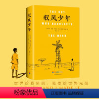 [正版] 驭风少年(精)威廉·坎宽巴 布赖恩·米勒著 同名电影原著外国文学温情励志小说 I tried,and I m