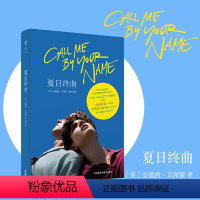 [正版]夏日终曲 奥斯卡获奖电影请以你的名字呼唤我Call me by your name原著小说 外国文学爱情感小说