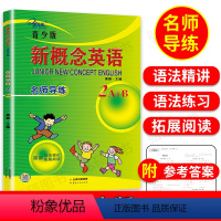 [正版]子金传媒 新概念英语青少版2A2B名师导练新概念英语青少版2ab习题大全 课课语法精讲精练拓展阅读新概念英语阅