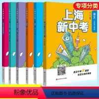 上海新中考 物理 上海 [正版]新版上海新中考语文现代文阅读文言文阅读数学英语物理化学华东师范大学出版社中考新题型专项分
