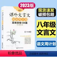 [正版]初中课外文言文阅读周计划高效训练120篇 八年级/8年级 华东理工大学出版社 初中文言文助读 全文翻译精选考试