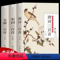 [正版]唐诗三百首+宋词三百首+元曲三百首 3本 无障碍阅读版中国古诗词书籍鉴赏词典辞典赏析古代古典诗词书籍 唐诗宋词