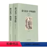 [正版]荷马史诗 奥德赛/伊利亚特 全2册 全译本 无删减(荷马史诗(共2册全译本)/世界文学名著 世界名著书籍 荷马