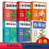 [正版]6册彩色图解中医名著 白话文六大中医生活本草纲目黄帝内经神农本草经伤寒论汤头歌诀温病条辨大全入门基础理论中药书