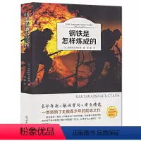 [正版]4本36元钢铁是怎样炼成的原著初中生 全本无删节 青少年初中生书籍课外书小说文学世界名著 钢铁是怎样炼成的全译