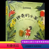 屠呦呦《神奇的小草》 [正版]神奇的小草屠呦呦的故事用绘本为我们展现一位诺贝尔自然学奖科学家的成长之路科学家的故事系列小