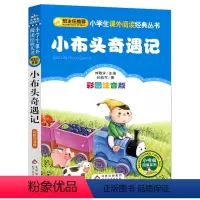 小布头奇遇记(彩图注音版) [正版]彩图注音版小布头奇遇记注音版一年级二年级三年级上册下童话文学老师图书本小学生课外阅读