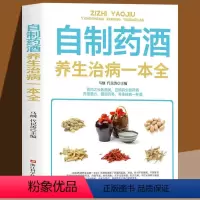 自制药酒养生治病一本全 [正版] 自制药酒养生治病一本全 养生药酒家庭自制保健药药酒配方老方大全药酒知识知多少自制药
