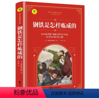 钢铁是怎样练成的 [正版]钢铁是怎样炼成的初中原著八年级下课外书青少年读物完整版人教版无删减初中世界名著书籍书籍书排