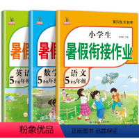 [3册]语文+数学+英语暑假作业 小学五年级 [正版]五年级下册暑假作业 全套3册语文数学英语五升六暑假衔接小学练习五年