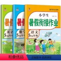 [3册]语文+数学+英语暑假作业 小学五年级 [正版]五年级下册暑假作业 全套3册语文数学英语五升六暑假衔接小学练习五年