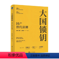 [正版]大国锁钥 国产替代浪潮 曾航等 著 罗振宇姬十三吴晓波 聚焦自主创新 国产替代底层逻辑 经济