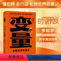 [正版]变量6 宏观世界奇遇记 何帆 著 罗振跨年演讲系列 时间的朋友 钱从哪里来 中国优势 香帅 创业指南 投资手册
