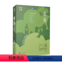 [正版]青春 J.M.库切 著 小说