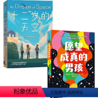 十二岁的天空+愿望成真的男孩 套装2册 [正版]十二岁的天空+愿望成真的男孩 套装2册 7-10岁 艾琳·恩特拉德·凯利