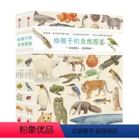 给孩子的自然图鉴(套装2册) [正版]给孩子的自然图鉴 沈兆媛著 动植物生命形态科学认知自然手绘感受力伴侣书 锻炼孩子认