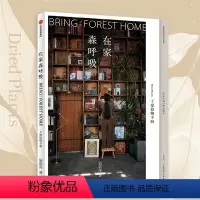[正版]在家森呼吸 干燥植物手册 茹茹萍著 用大地色系自然质朴的干燥植物 打造高级的家居风格 养花书籍 书